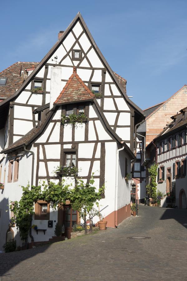 Burggarten Appartements Neuleiningen Eksteriør bilde