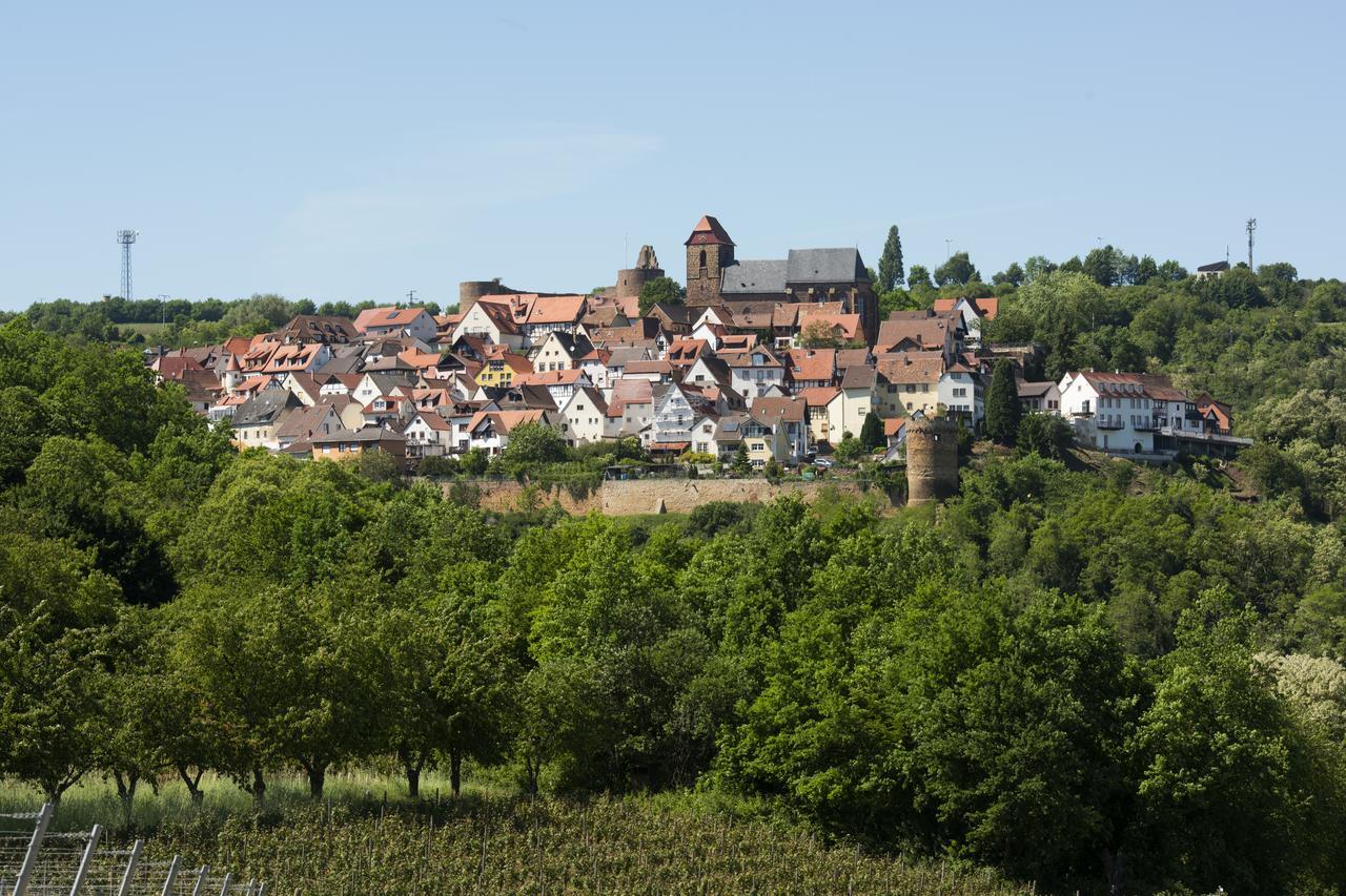 Burggarten Appartements Neuleiningen Eksteriør bilde